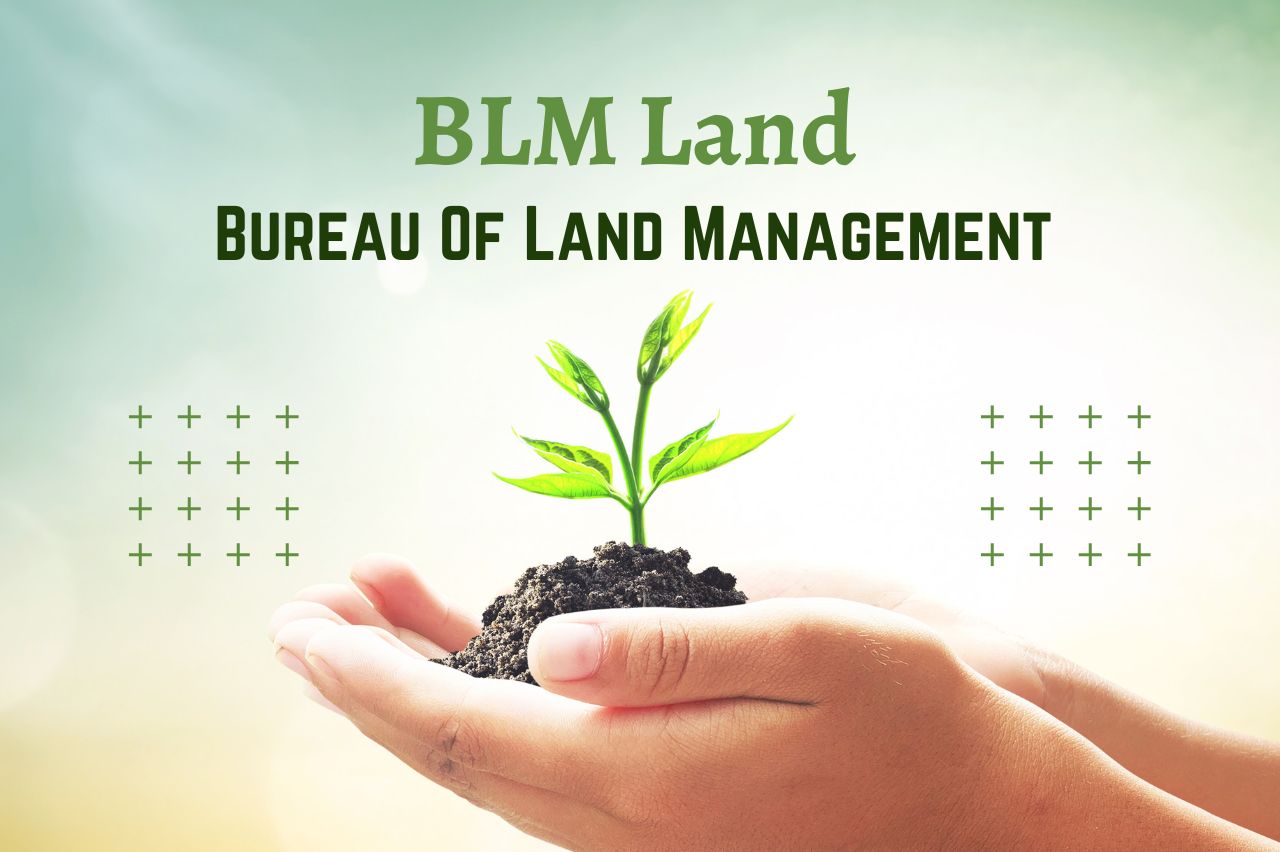 BLM Land: Everything You Need to Know