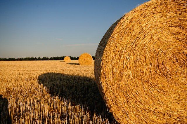 How to Build a Straw Bale House