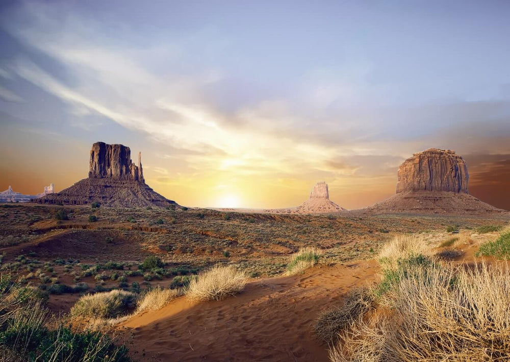 Top 5 Reasons People Are Moving to Arizona - LandZero