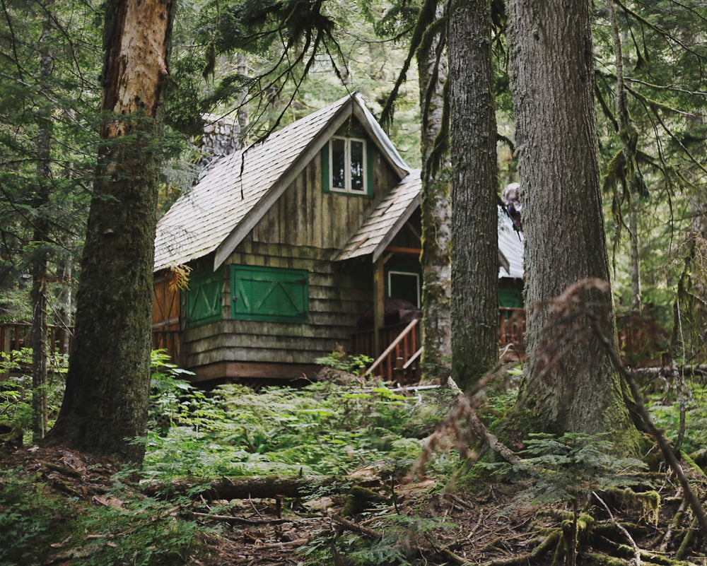 The No-nonsense Guide to Off-grid Living