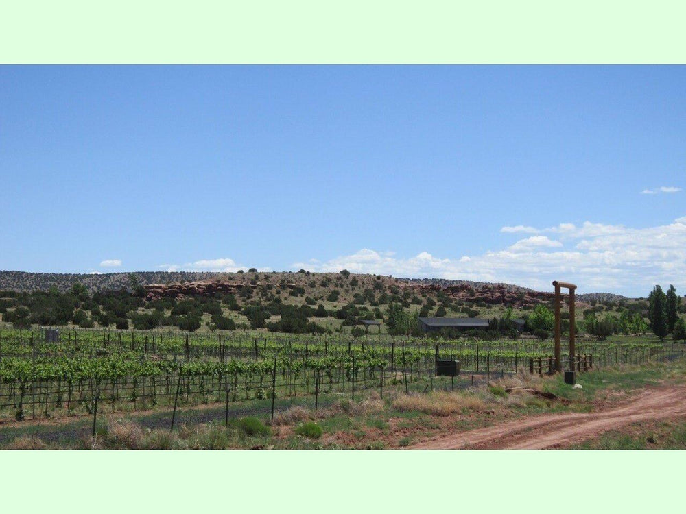 
                  
                    Arizona Lot near lavender farm $1,600
                  
                