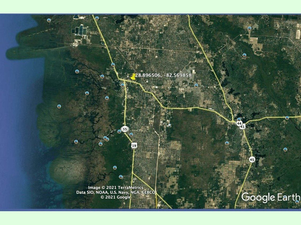 
                  
                    Crystal River FL, Home of the Manatees $9,899
                  
                
