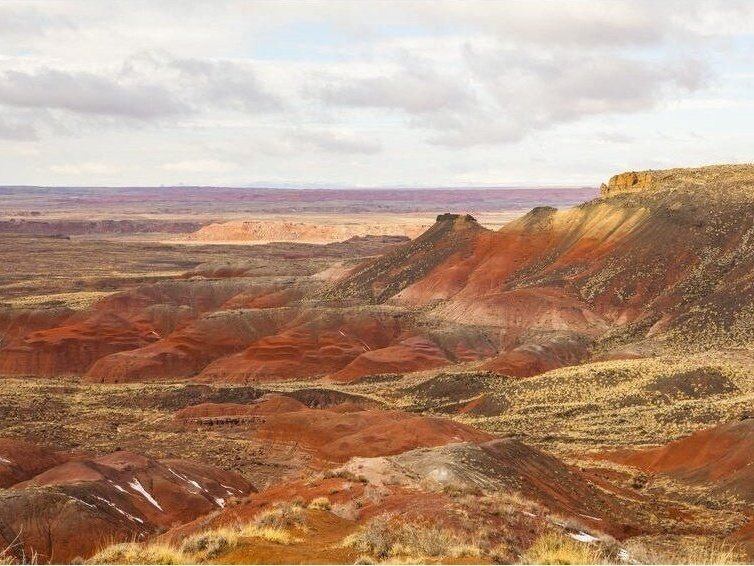 
                  
                    Petrified Forest
                  
                