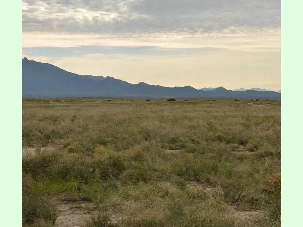 
                  
                    Affordable Arizona Land, Buy in Full $999
                  
                