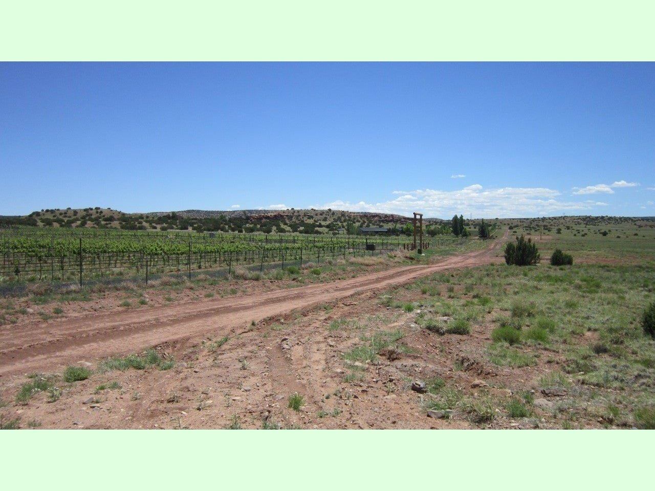 
                  
                    0.69 Acre Lot near Vineyard Arizona $2,571
                  
                