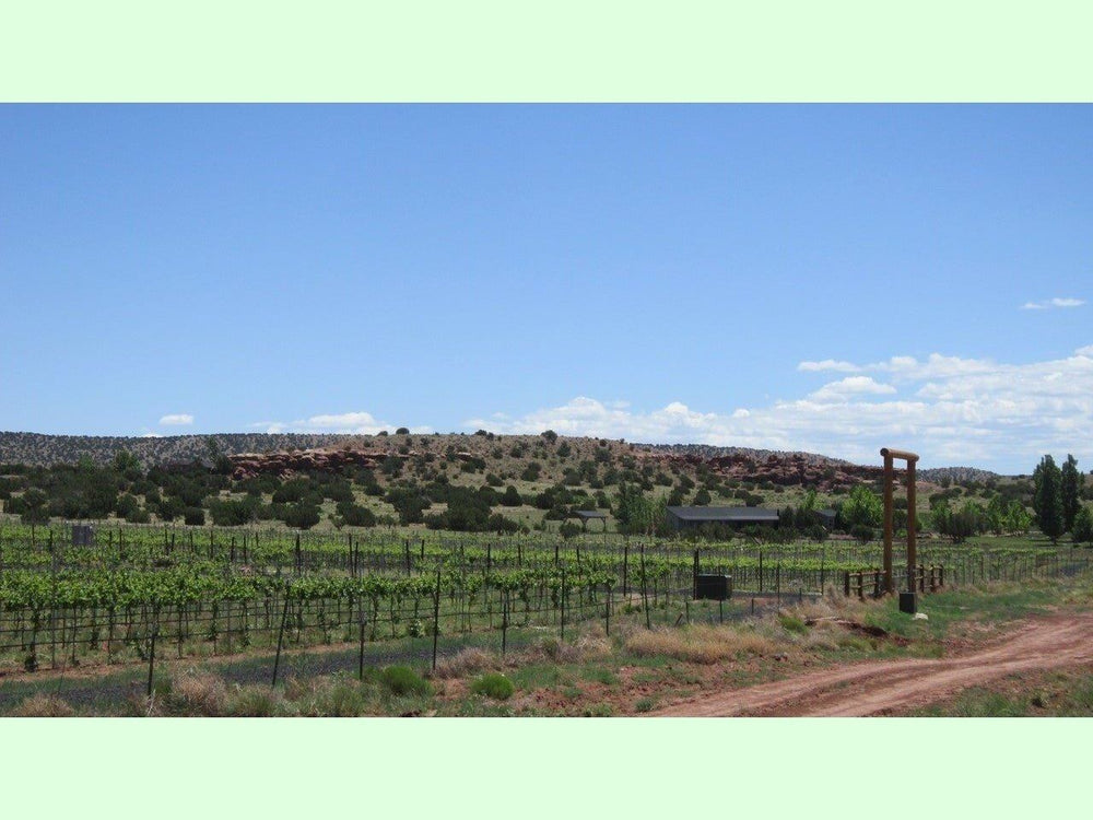 Land near Winery in Arizona $2,305
