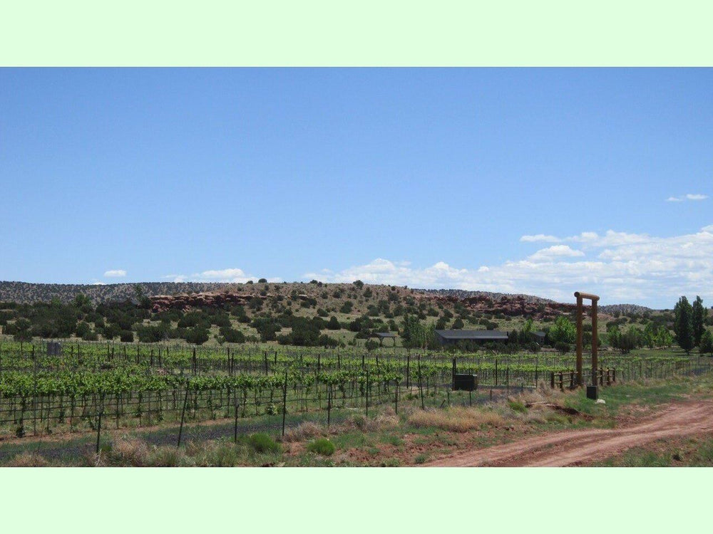 
                  
                    0.69 Acre Lot near Vineyard Arizona $2,571
                  
                