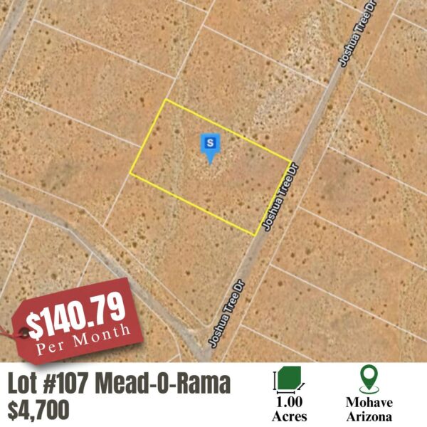 lot 107 mead o rama