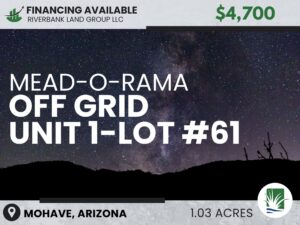 Unit 1 Lot 61 in Mead-O-Rama