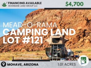 Lot #121 Mead-O-Rama