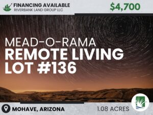 Lot #136 Mead-O-Rama