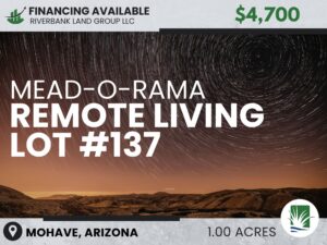 Lot #137 Mead-O-Rama