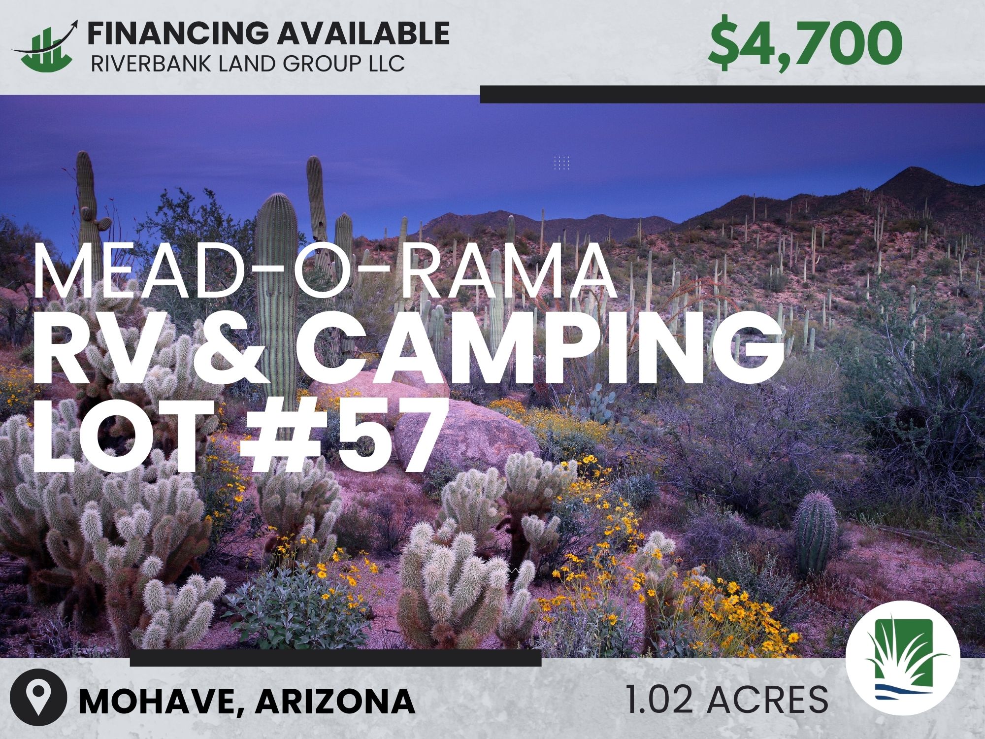 Arizona 22 Lot #57 Mead-O-Rama