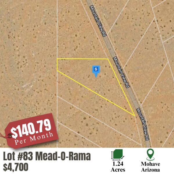 Lot 83