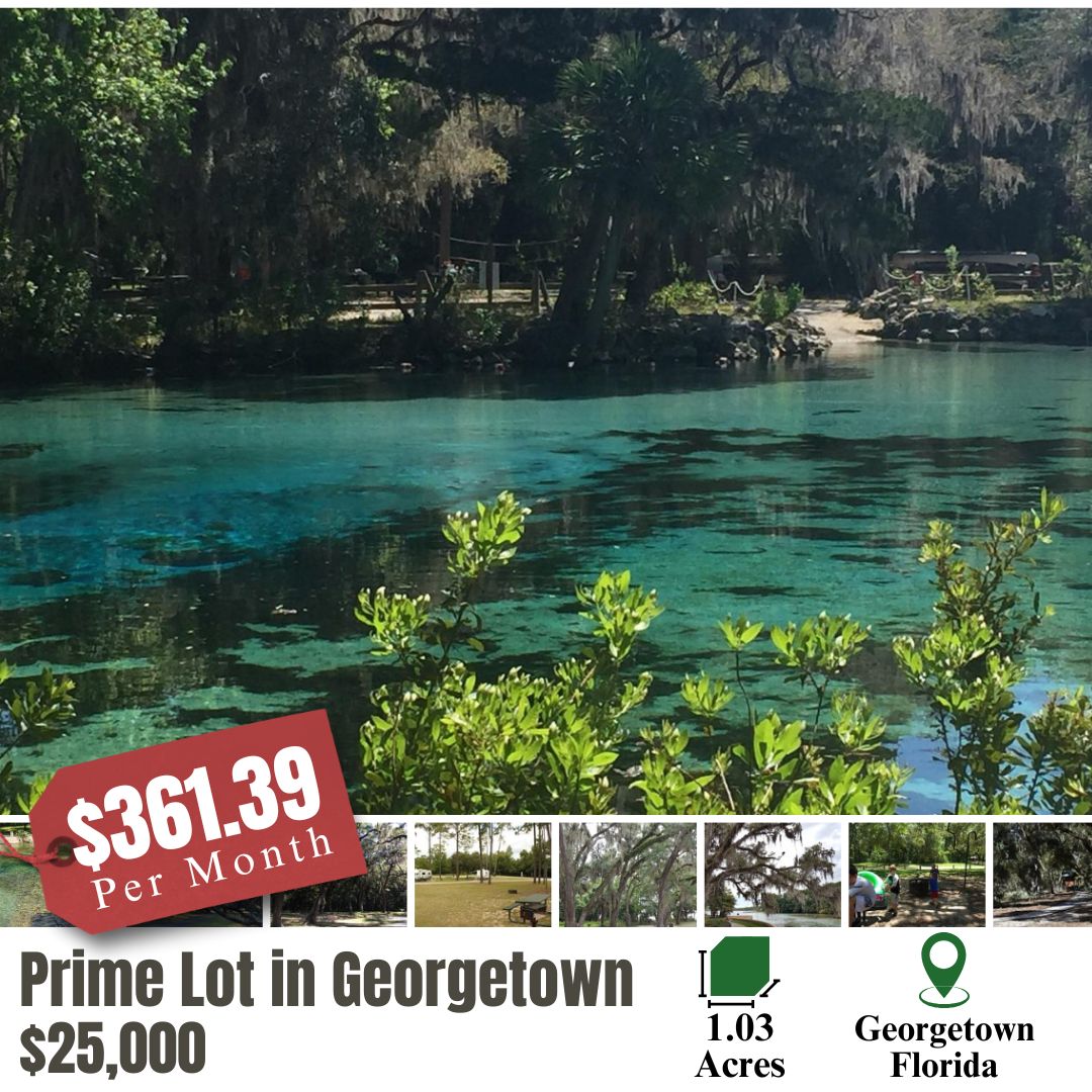 georgetown lot