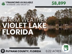 Lot Near Violet Lake