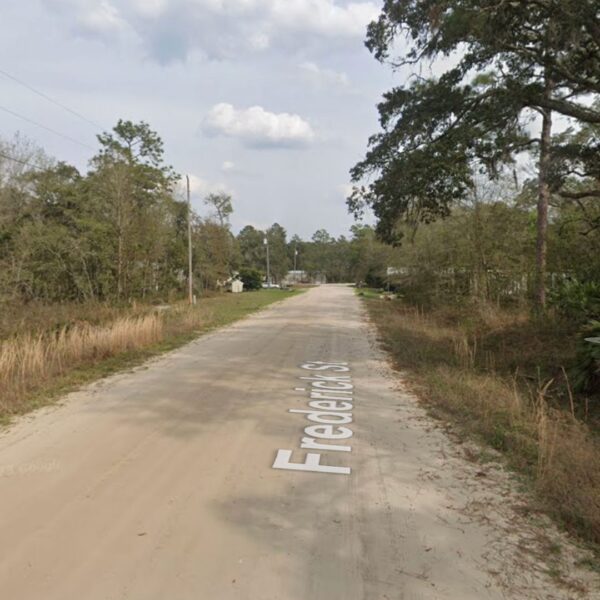 Peaceful Residential Lot FL - Image 3