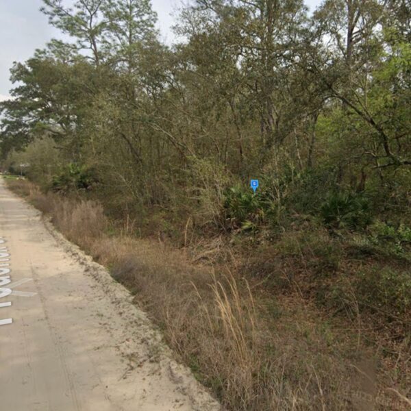 Peaceful Residential Lot FL - Image 4