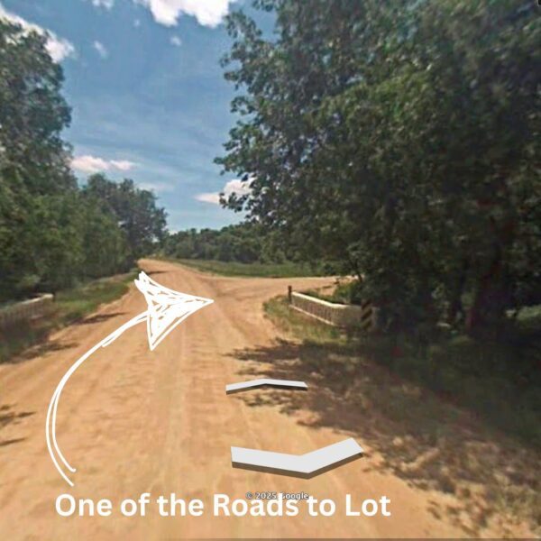 Lush Area in Colorado - Image 4