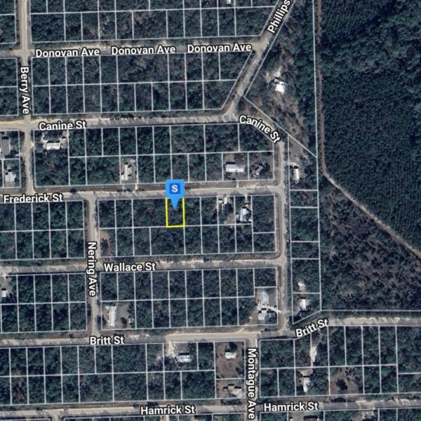 Peaceful Residential Lot FL - Image 5
