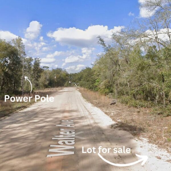 0.22 Acres Near 4 Lakes - Image 6