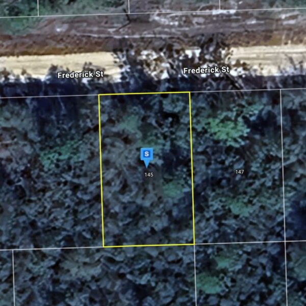 Peaceful Residential Lot FL - Image 6