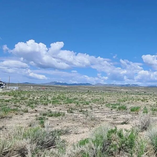 Lot Near Humboldt River - Image 6