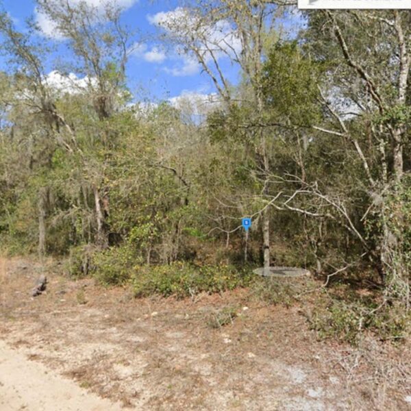 0.22 Acres Near 4 Lakes - Image 7