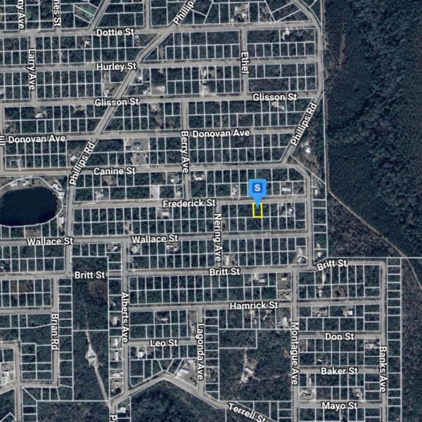 Peaceful Residential Lot FL - Image 7