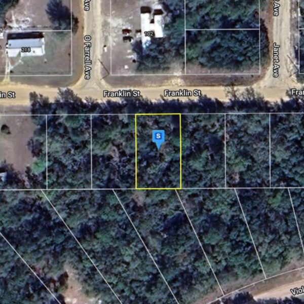 Lot Near Violet Lake - Image 7
