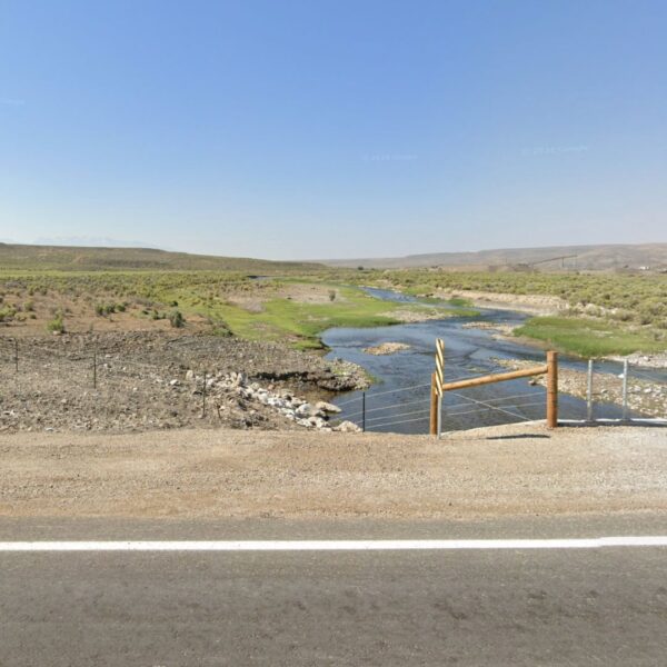 Lot Near Humboldt River - Image 9