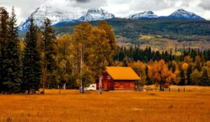 Colorado Property