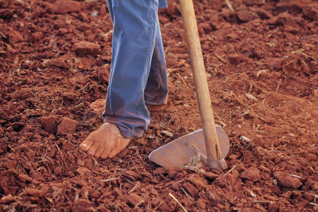 Buying Land Online